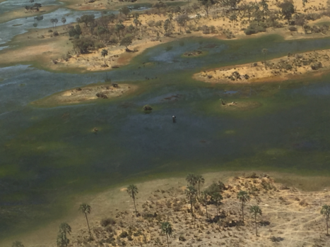 Botswana - Okavanga Delta. Zo puur zo mooi
