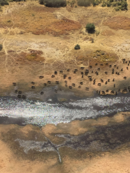 Botswana - Vlucht over de Okavanga