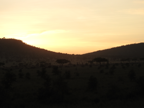 Tanzania - Sunset