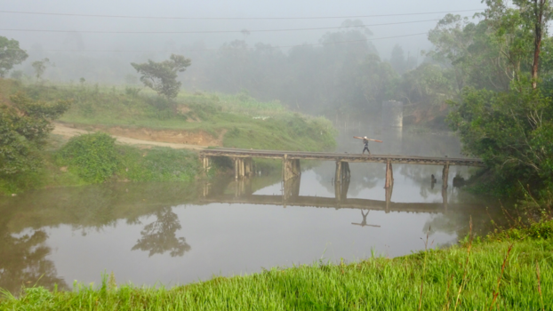 Madagaskar - Goodmorning Madagaskar
