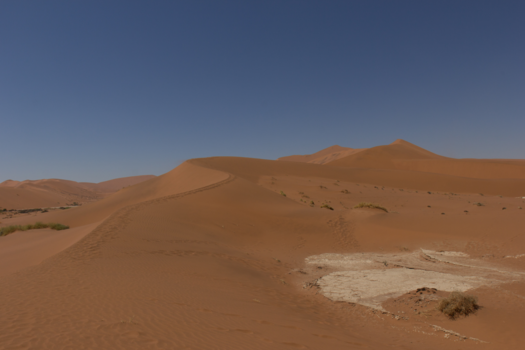 Namibië - Sossusvlei