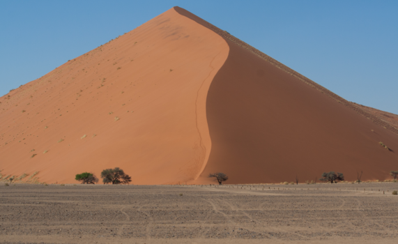 Namibië - Duin in sossusvlei