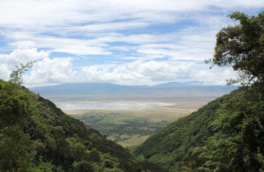 Serengeti National Park - Ngorongoro Crater