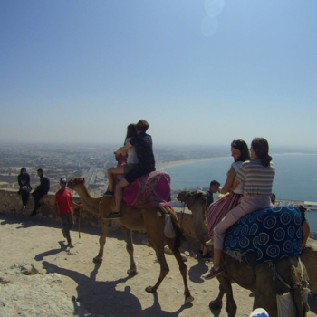 Marokko - Kameelrijden in Agadir
