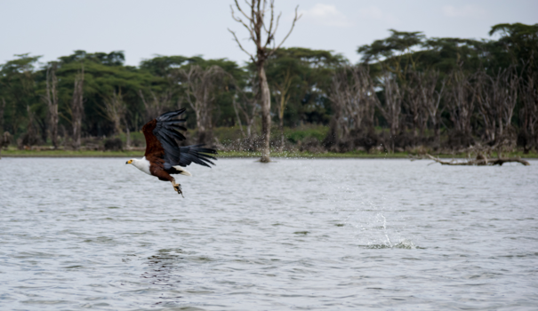 Kenia