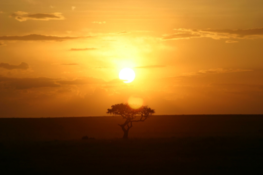Tanzania - Zonsopkomst in Serengeti