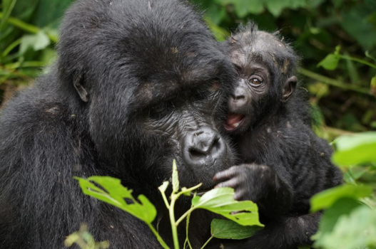 Oeganda - Mother and daughter love