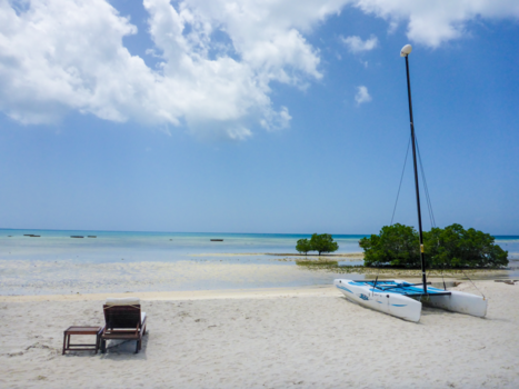 Stranden van Zanzibar - Magic!