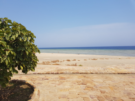 Egypte - Vakantie to the max!