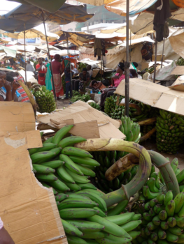 Kampala - Gezellige bedoening!