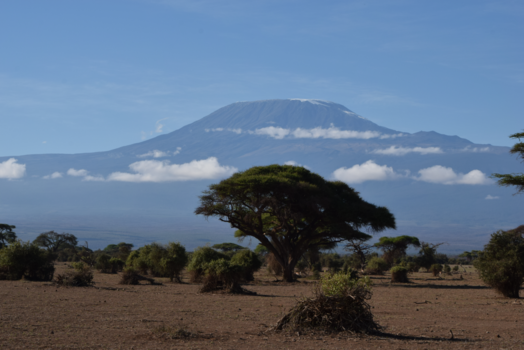 Kenia - De Kilimanjaro vanuit Kenia
