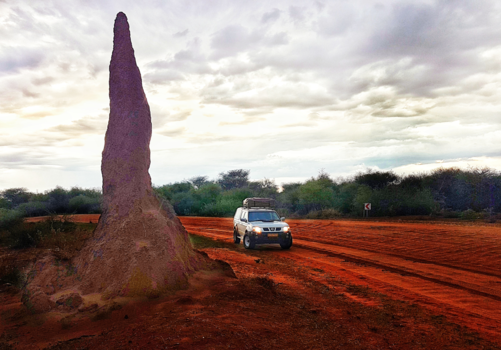 Namibië - Empire state termietenheuvel