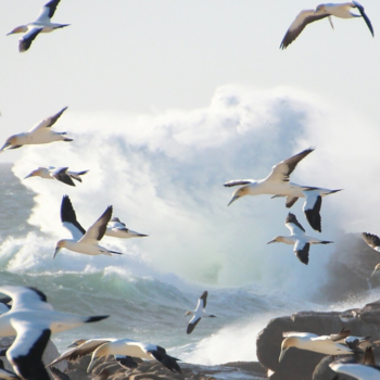 Namibië - Will you fly with me?!