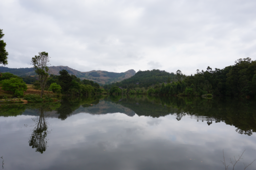 eSwatini (voorheen Swaziland) - Voorjaar in Mlilwane