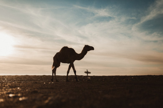 Marokko - Spits-uur in Marokko