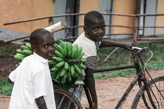 Oeganda - Just getting bananas