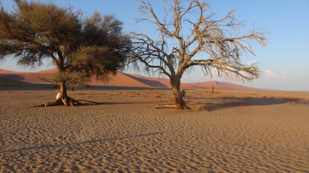 Oeganda - Namibië, zandduinen