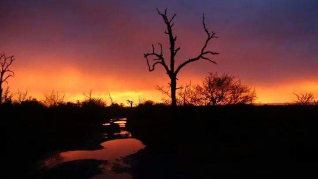 Tanzania - Tanzania 2012 niks aan toe te voegen.