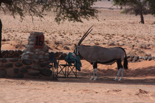 Namibië - Afblijven!!!