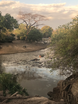 Serengeti National Park - Like a painting