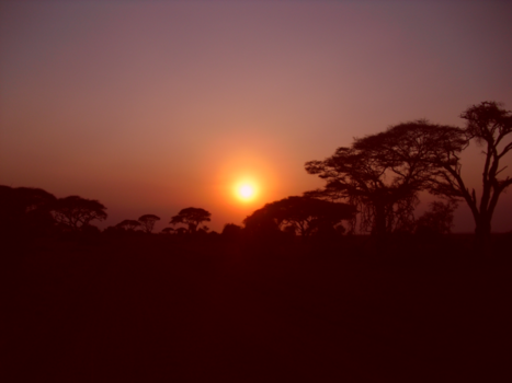 Kenia - Safari Sunset