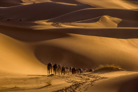 Marokko - Langzaam verdwijnt de karavaan uit het beeld