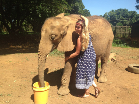 Oeganda - Een echt Knuffelolifantje !