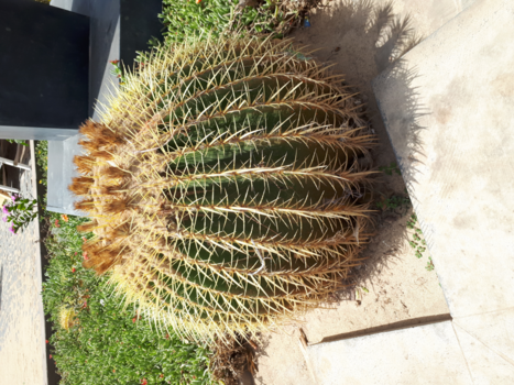 Sal - What a sting trip it was.