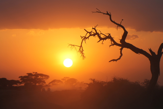 Kenia - Zonsondergang in Amboselli National Park