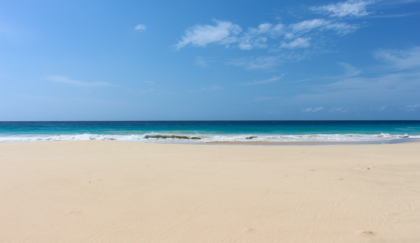 Boa Vista - Santa Monica Beach