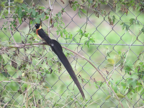 Botswana - Zo bijzonder