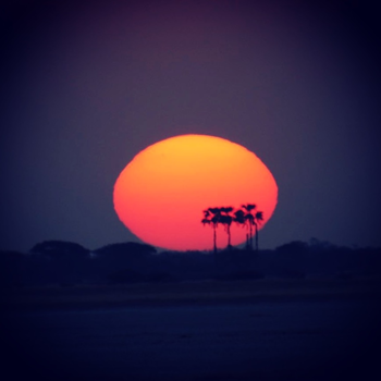 Botswana - Als in je dromen... vanaf de Makgadikgadi Pans