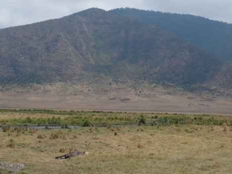 Ngorongoro krater - Ngorongoro