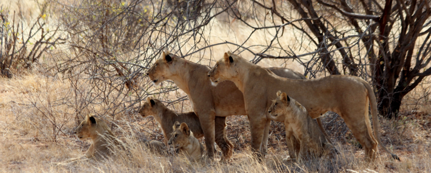 Tanzania - Waar blijft ze nou?