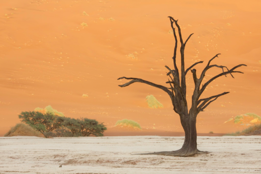 Namibië - Sossusvlei Namibië