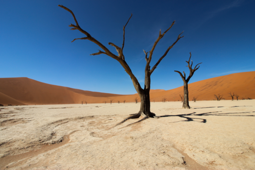 Sossusvlei - Deadvlei in Namibie prachtige kleurcombinaties!