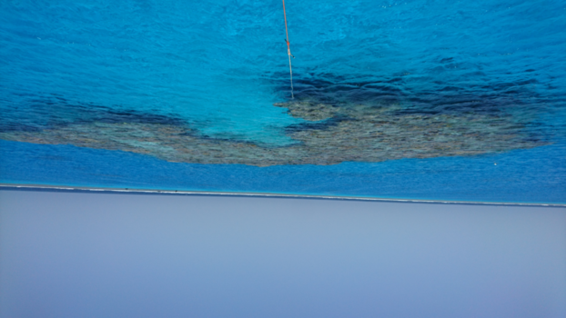 Egypte - Koraalriffen