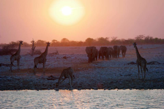 Namibië - Namibia sunset