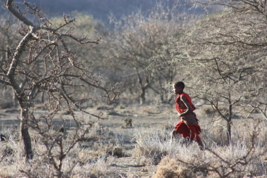 Tanzania - Hide and seek Masai