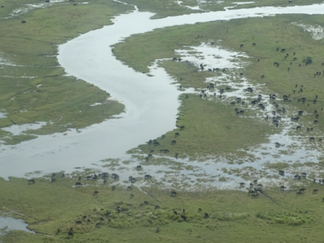 Okavango Delta - Okavanga vanuit de lucht