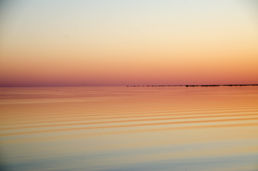 Okavango Delta - Surrealistisch landschap