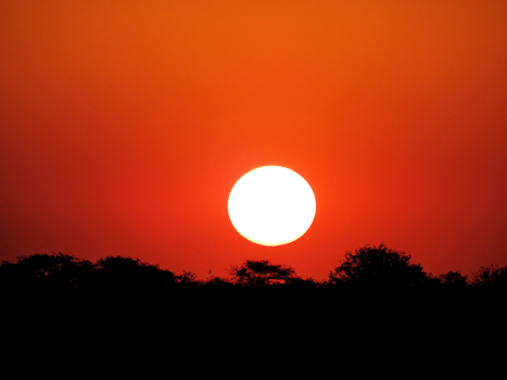 Etosha National Park - zonsondergang