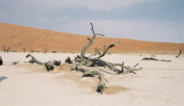 Namibië - Namibie