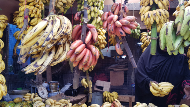 Stone Town Zanzibar - The market place, al l kinds of bananas