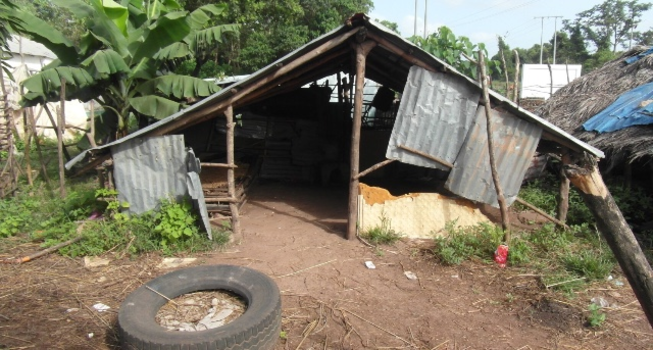 Gambia - Hut veemarkt