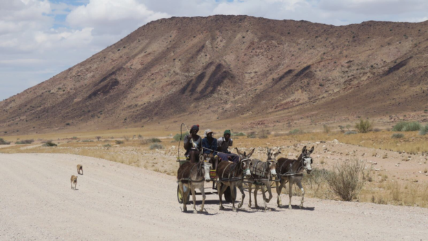 Namibië - Roadtrip