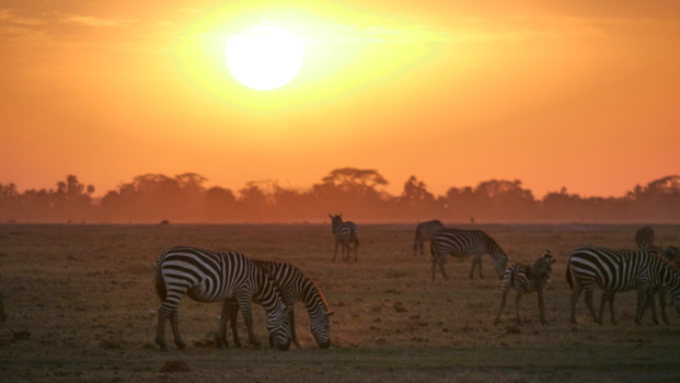 Kenia - Sunset Amboseli National Park