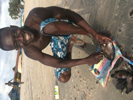 Gambia - The smiling coast of Africa
