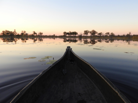 Okavango Delta - okavango delta