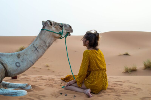 Marokko - A touch of gold